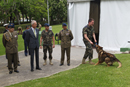 Sección de guías caninos
