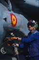 Fuerzas Armadas - Armada - AV-8B HARRIER DEL ARMA AÉREA DE LA ARMADA