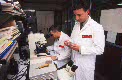 Fuerzas Armadas - Cuerpos Comunes - VETERINARIOS DEL CUERPO MILITAR DE SANIDAD