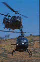 Fuerzas Armadas - Ejército de Tierra - FUERZAS AEROMÓVILES DEL EJÉRCITO DE TIERRA (FAMET)