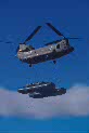 Fuerzas Armadas - Ejército de Tierra - FUERZAS AEROMÓVILES DEL EJÉRCITO DE TIERRA (FAMET)