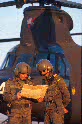 Fuerzas Armadas - Ejército de Tierra - FUERZAS AEROMÓVILES DEL EJÉRCITO DE TIERRA (FAMET)