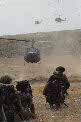 Fuerzas Armadas - Ejército de Tierra - BRIGADA DE INFANTERÍA LIGERA AEROTRANSPORTABLE (BRILAT)
