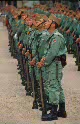 Fuerzas Armadas - Ejército de Tierra - BRIGADA DE LA LEGIÓN (BRILEG)