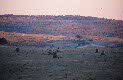 Medio Ambiente - Campos de maniobras - CAMPO DE MANIOBRAS DEL EJÉRCITO EN CHINCHILLA