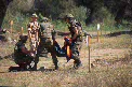 Organismos Internacionales - OTAN - OTAN: EJERCICIO BEST EFFORT