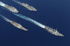 Vista aérea del Grupo naval durante la travesía hacia el Líbano por aguas del Mediterráneo (1º,FR Almirante 'Juan de Borbón'; 2º, BAC 'Patiño', BAA 'Pizarro' y 3º, BAA 'Galicia')