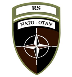 Resolute Support (Afganistán)